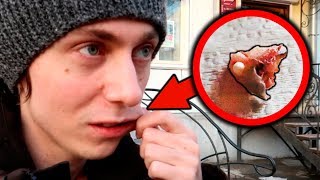 ЖЕСТЬ, У МЕНЯ В ЗУБЕ ВЫРОС ЖЕМЧУГ ? VLOG