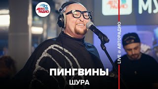 ?️ Шура - Пингвины (LIVE @ Авторадио)