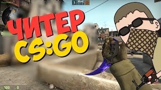 ПРО ИГРОК ИЛИ  ЧИТЕР? | ПАТРУЛЬ В CS:GO #14