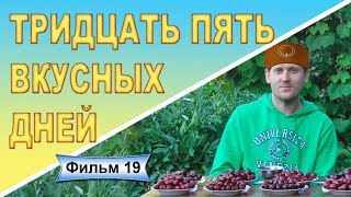 Дегустация черешни Фильм 19