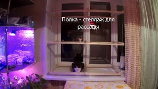Полка-Стеллаж для рассады своими руками дешево очень..