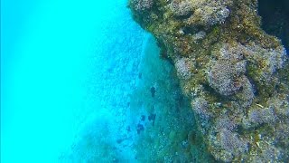 Фантастическое Адриатическое море Хорватии. Чиово (Трогир)