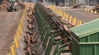 Новая линия по сортировке пиловочника запущена на предприятии «Харовсклеспром»