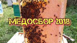 Удивительный медосбор 2018
