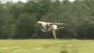 HAWK turbine rc BEA JET