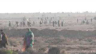 Camp Ogdim Izik Laayoune