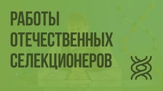 Работы отечественных селекционеров. Видеоурок по биологии 9 класс