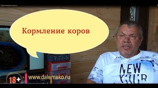 Новое в приготовление силоса. и как опыт показывает - лучшее от эм эко Кумицкого.