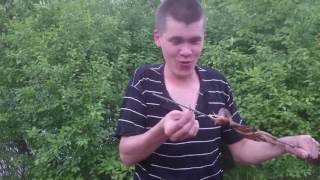 Рыбалка на Ахтубе!