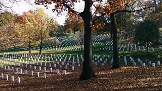 Veterans Day walking tour of Arlington National Cemetery with DC by Foot