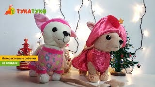 Интерактивная игрушка собачка на поводке