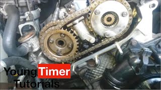 BMW Vanos überholen M52 M50 e46 e39 e36 e38 und Steuerzeiten einstellen, Tutorial BMW Vanos warten