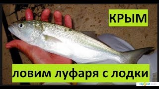 Крым. Ловим луфаря. Оснастка. Проводка. Тактика.