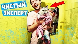 КУПАЕМ ЭКСПЕРТА ЧЕЛЛЕНДЖ / КАК ВЫГЛЯДИТ МОКРЫЙ ЭКСПЕРТ / МИЛЫЙ ПРАНК НАД КОШКОЙ / АНАНАСТЕНЬКА