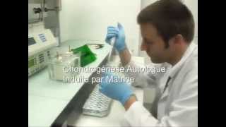 Régénération cartilage du genou