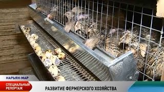 Гранты на сельское хозяйство