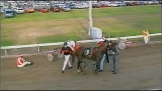 Harness Racing Accident,Harold Park-25/11/1994 (Pale Leigh-J.Donlan)