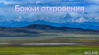 "Божьи откровения". Н. С. Антонюк. МСЦ ЕХБ.