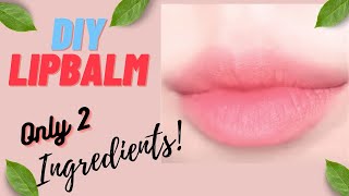 Organic | Lip Butter | Lip Balm | Natural| Chemical Free | Nikilicious Buzz