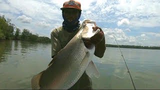 Mancing strike terus II Barramundi,GT,Senangin,kerapu,Tompel,gulama,pari,grot Landed