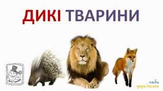 Дикі, свійські і домашні тварини