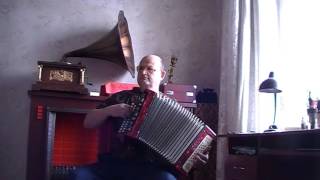 Русские песни под гармонь! Любительское исполнение.