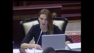 Q.Paşayevanın MM-in 19.11.2014-cü il tarixli iclasında çıxışı