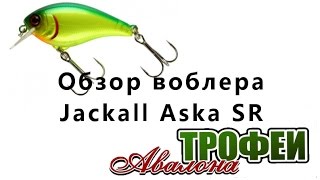 Обзор воблера Jackall Aska SR - магазин "Трофеи Авалона"