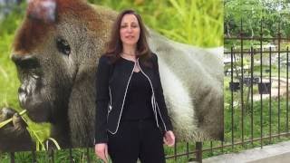 Shelly Masi, primatologue | Les acteurs du musée-laboratoire