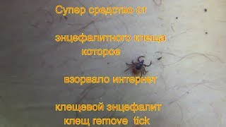 Супер средство от энцефалитного клеща которое взорвало интернет клещевой энцефалит клещ remove  tick