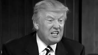 Donald J. Trump is the least racist person you've ever met