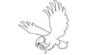 How to Draw an Eagle / Как нарисовать орла