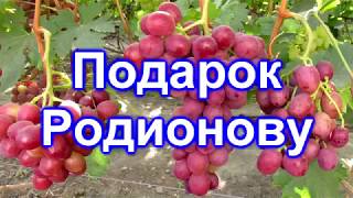 Подарок Родионову 21.08.2018