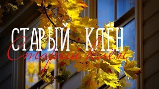 СТАРЫЙ КЛЁН / Разбор на гармони