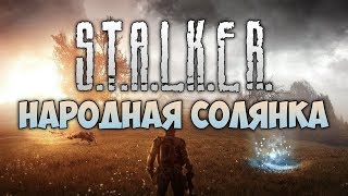 S.T.A.L.K.E.R.  Народная Солянка ● #21 ● Походы в Варлаб и Красный лес