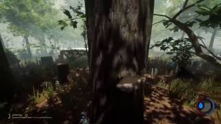 The Forest #0.41 постройка жилища (выбор места, начало строительства) часть 1