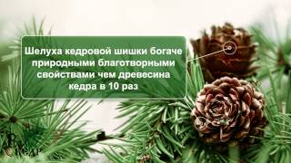 Кедропласт