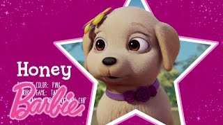 Meet Chelsea’s Puppy, Honey! | Barbie