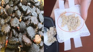 Lấy Vài Hạt Gấc Dùng Theo Cách Này Trĩ Nặng Tới Mấy Cũng Khỏi Ngay Tức Khắc Chỉ Sau 1 Tuần