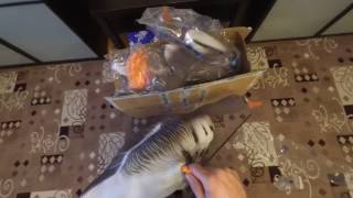 Небольшой обзор чучел гусей для охоты/A small overview of stuffed geese for hunting