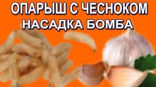 КАК ПРИГОТОВИТЬ ОПАРЫШ С ЧЕСНОКОМ! ОТЛИЧНАЯ НАЖИВКА ДЛЯ РЫБАЛКИ!