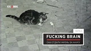 Fucking Brain 6. Они отдали жизнь за науку
