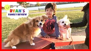 Kids fun playtime at playground and dog park with Ryan's Family Review