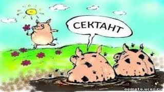 Мд это секта и феминизм наоборот?! Нет не думаю!