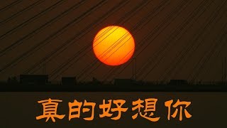 旺角羅文 龍婷 第50週精選 ［真的好想你］  Stacey Long  ［Always in my Mind］