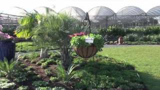 Costa Farms Trial Garden : Season Premier