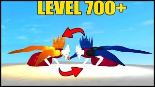 CORUJA DOURADA EM CIMA DA CCG NO RO-GHOUL!! QUEM VENCEU?(ROBLOX)