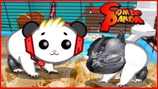 ROBLOX Hamster Simulator Let's Play with Combo Panda