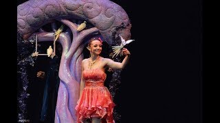 Spectacle de Magie féerique  pour vos arbre de Noel , festival... Présenter par Elfia
