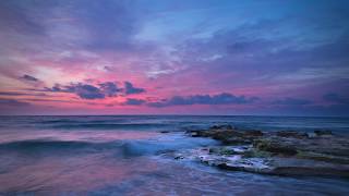 ?️ Organic Pink • Natural Pink Noises • Ocean Waves, Rain & Flowing Water